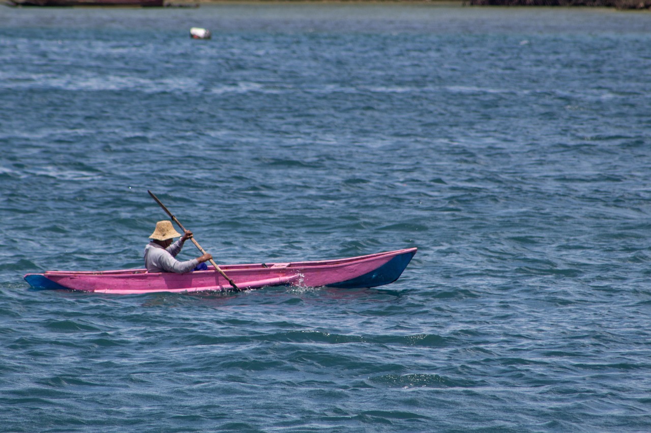 The Ultimate Guide to Canoeing in the Everglades